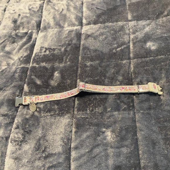 Packed Party "Throw Confetti" Dog Collar Small-FINAL PRICE - Picture 3 of 5